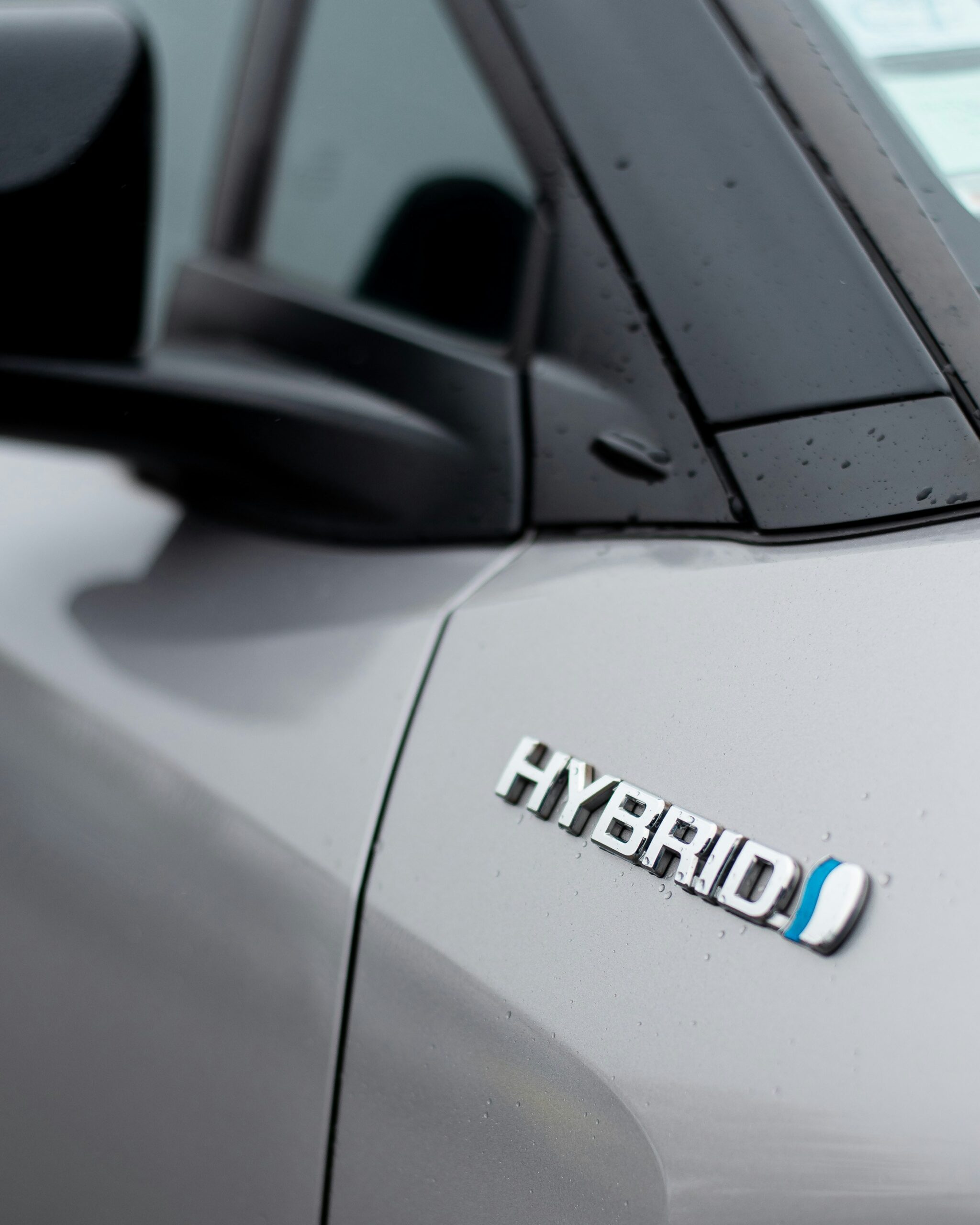 eine Nahaufnahme eines Autologos